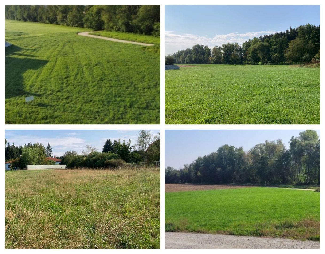 Randlage Andorf - Schönes Grundstück mit Bauverpflichtung - Grundstücke