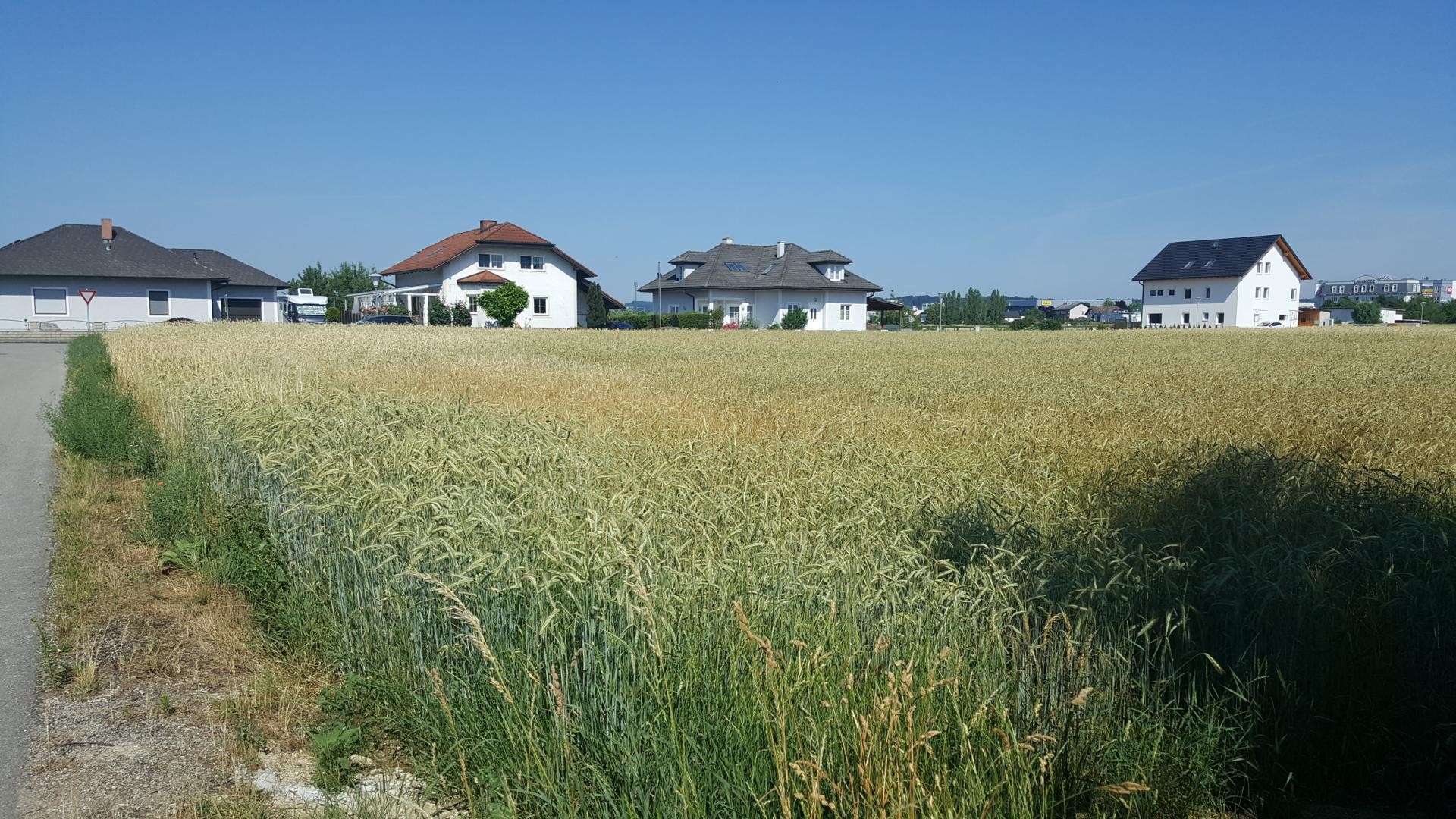 Provisionsfrei - Traumhaftes Grundstück in Amstetten - 1