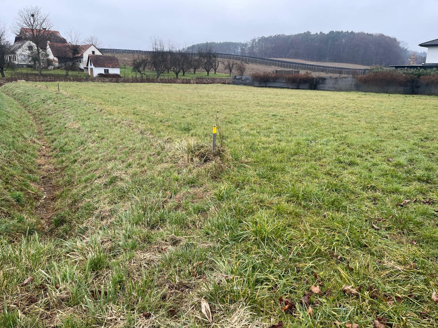 Nahe Ilz - Schönes Grundstück ohne Bauverpflichtung am Rande von Walkersdorf - Grundstück